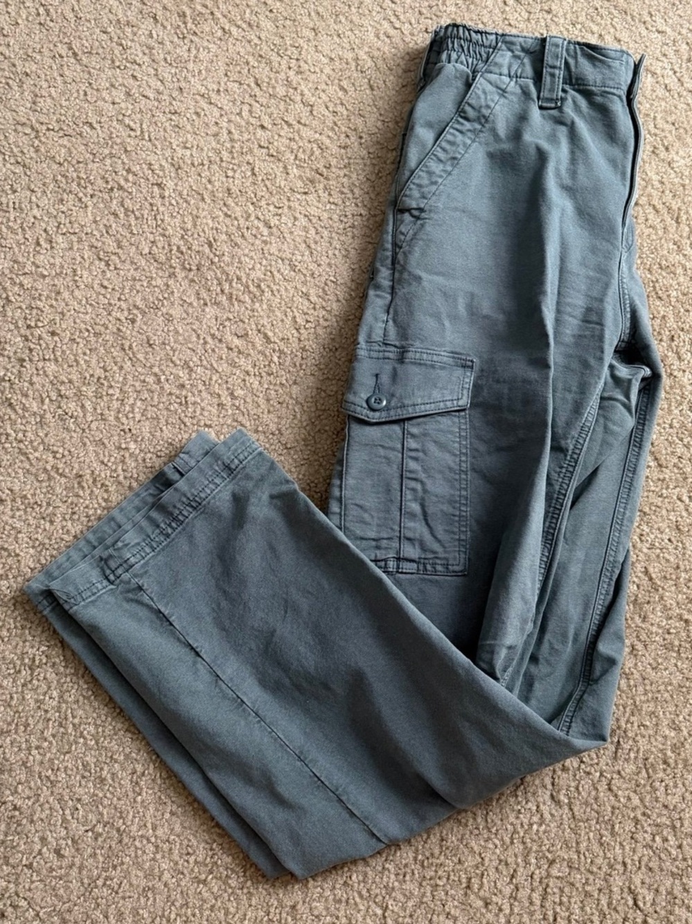 American Eagle Outfitters Cargo Pants